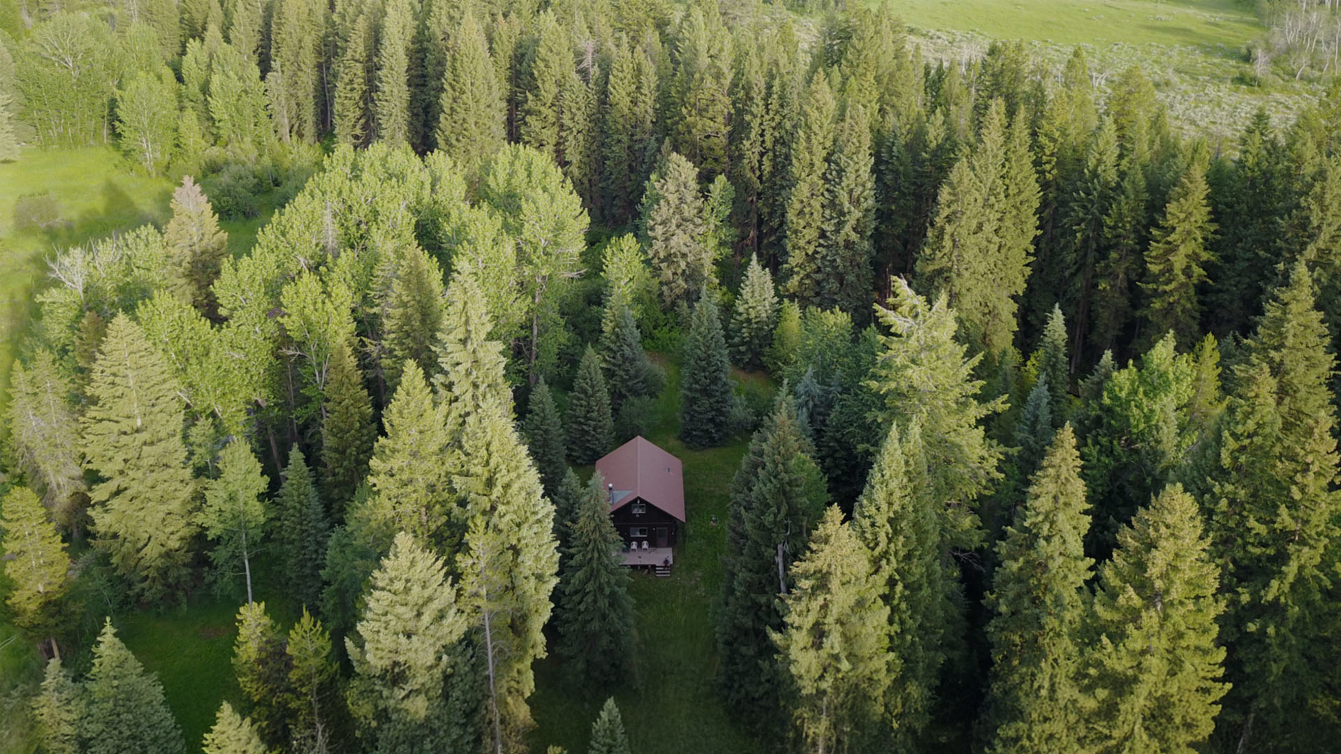 Winne family cabin in Teton Valley, Idaho