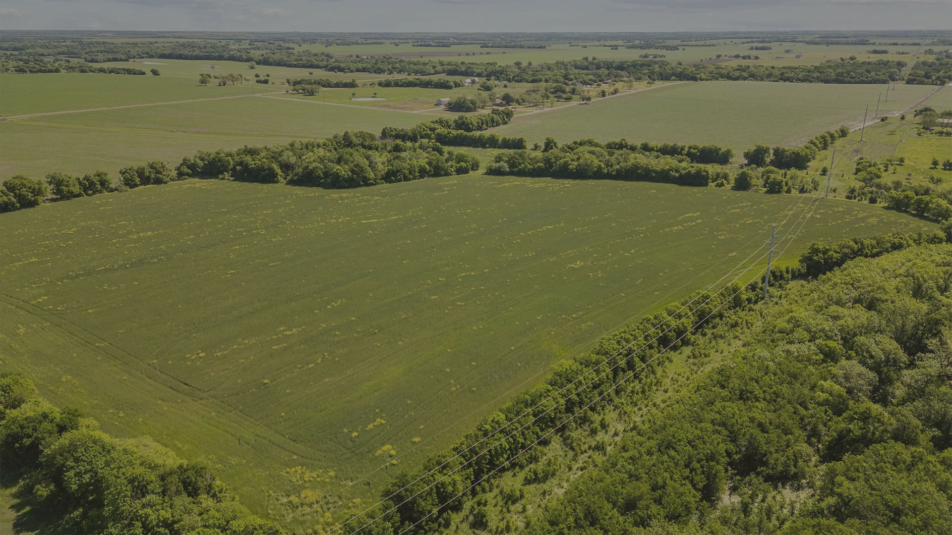 Central Texas farmlands